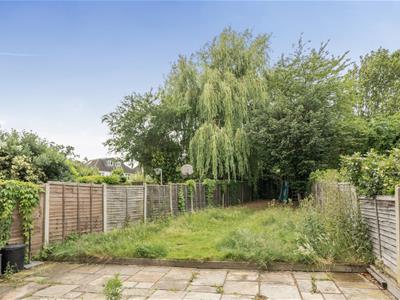 Picture 20